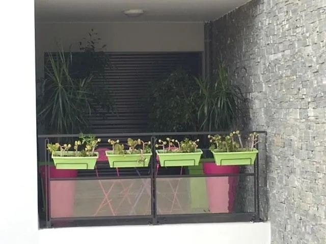 公寓 Luxury With Sea View, Parking 阿雅克肖